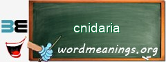 WordMeaning blackboard for cnidaria